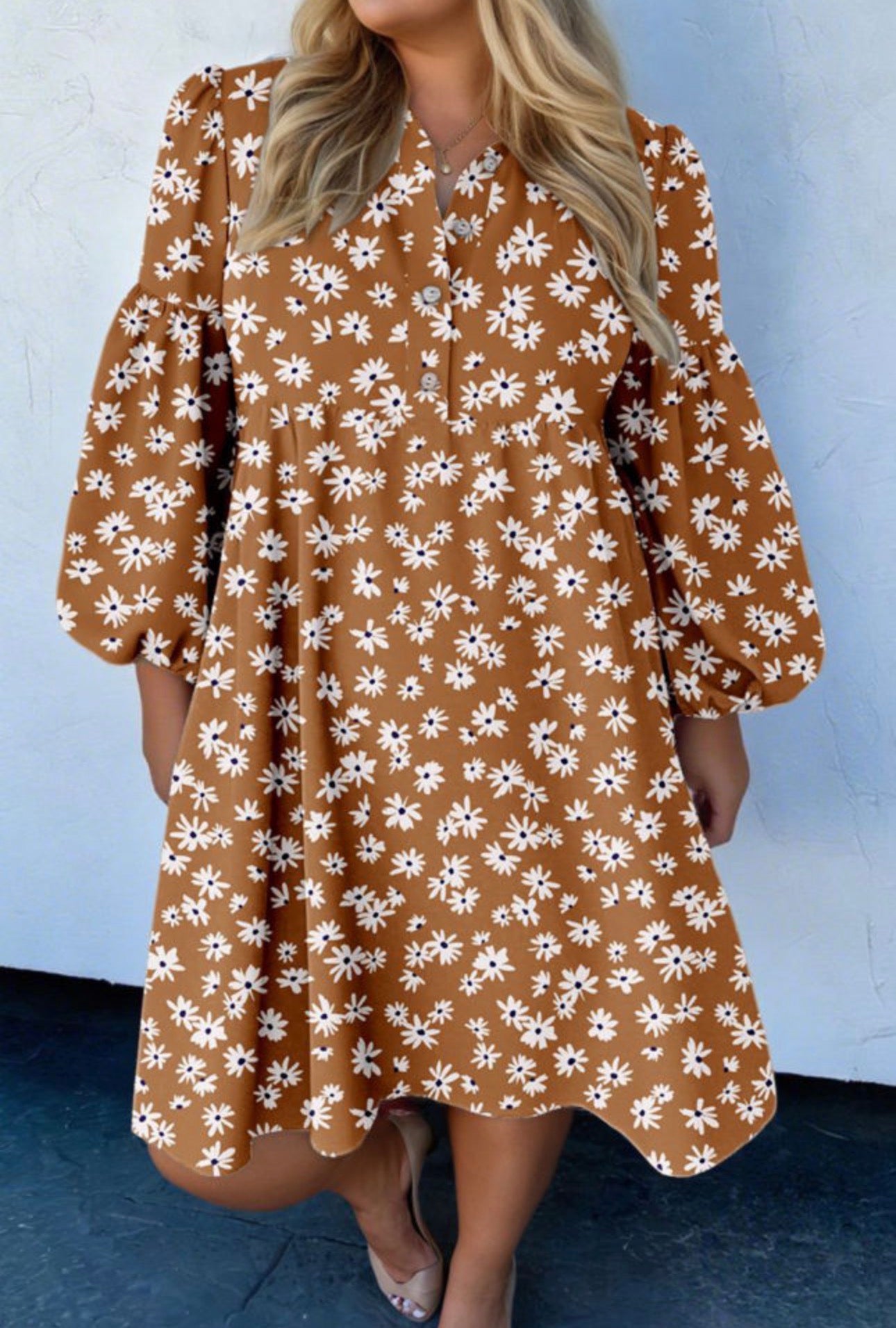 Curvy Floral Print Puff Sleeve Dress